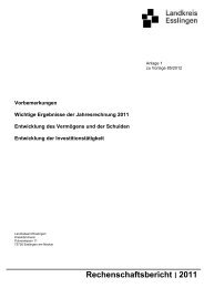 Vorbemerkungen Wichtige Ergebnisse der Jahresrechnung 2011 ...