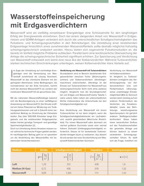 Umwelt Journal 2021-3