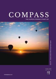 Calico Compass for Law Firm leaders - Starting something new?