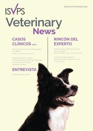ISVPS_Veterinary_News_DE_13Edition