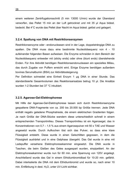 Untersuchungen zum Argininstoffwechsel bei Mycobacterium bovis ...