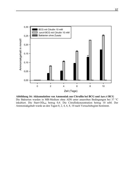 Untersuchungen zum Argininstoffwechsel bei Mycobacterium bovis ...