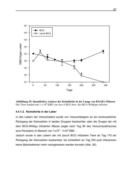 Untersuchungen zum Argininstoffwechsel bei Mycobacterium bovis ...