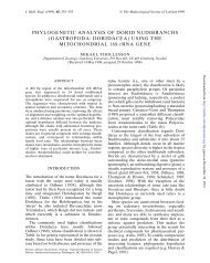 PHYLOGENETIC ANALYSIS OF DORID NUDIBRANCHS ...