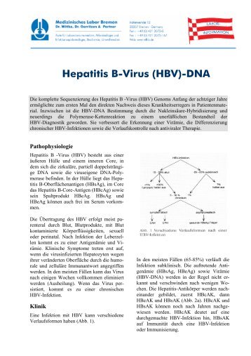 Hepatitis B-Virus (HBV)-DNA - Medizinisches Labor Bremen