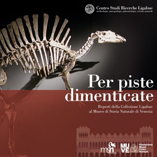 Reperti della Collezione Ligabue al Museo di Storia Naturale di ...