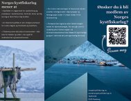 Norgeskystfiskarlag-brosjyre2021
