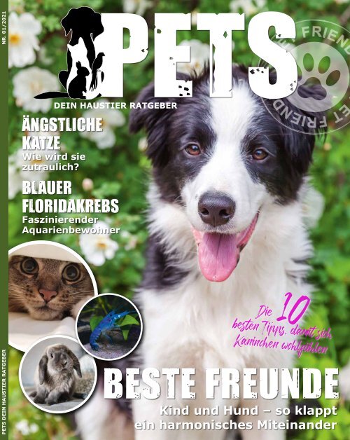 PETS 01/2021