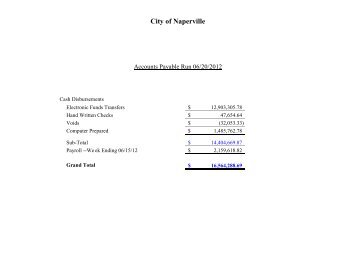 City of Naperville Capital Projects Funds Report 3