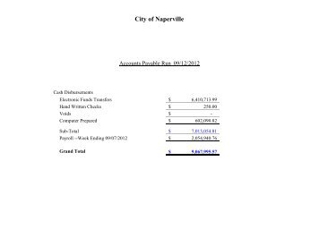 City of Naperville Capital Projects Funds Report 3