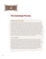 The Cyanotype Process 6 - Christopher James