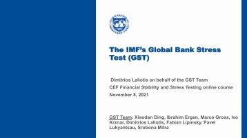 Global Bank Stress Test-2021-11-08-CEF 