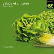 Catalogue salade de plein champ 2022