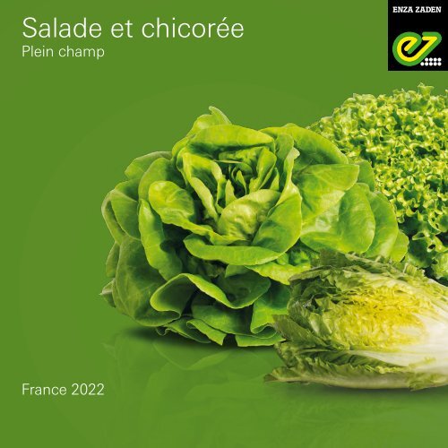Catalogue salade de plein champ 2022