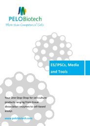 ES/iPS Cells, Media&Tools 2021/22