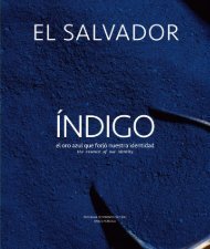 El_Salvador_Indigo