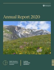 CMI Annual Report 2020