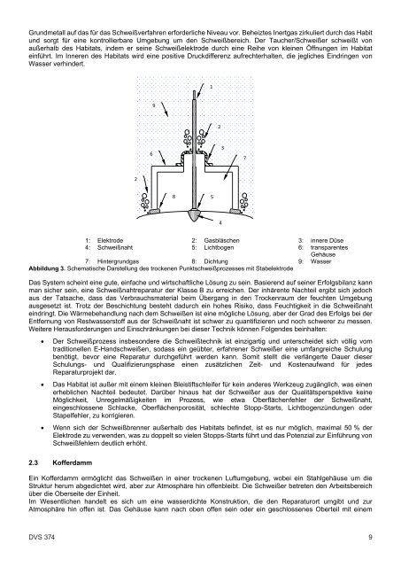 DVS_Bericht_374LP