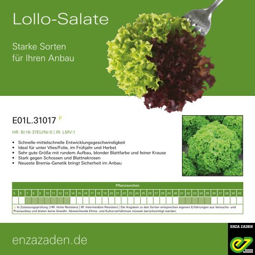 Leaflet Lollo Salate 2021