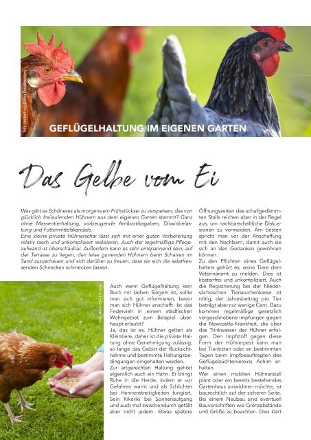 Achimer Spezialität – Das Genussmagazin