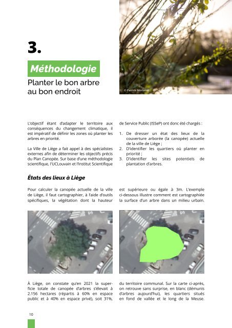Plan Canopée - Ville de Liège