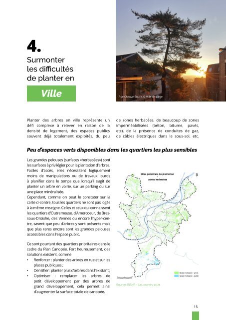 Plan Canopée - Ville de Liège