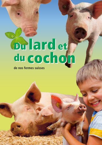 Du lard et du cochon