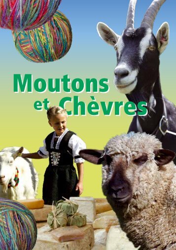 Moutons et chèvres