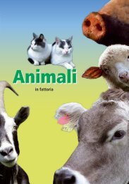 Animali in fattoria