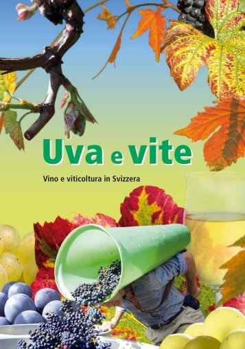 Uva e vite