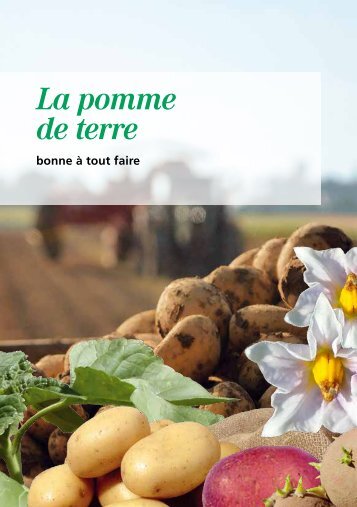 La pomme de terre bonne à tout faire