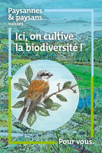 Ici, on cultive la biodiversité