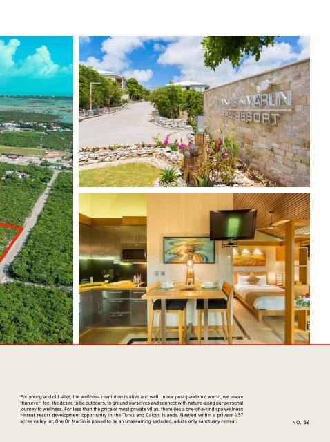 Turks & Caicos Islands Real Estate Winter/Spring 2021/22