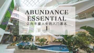 Abundance Essential 1