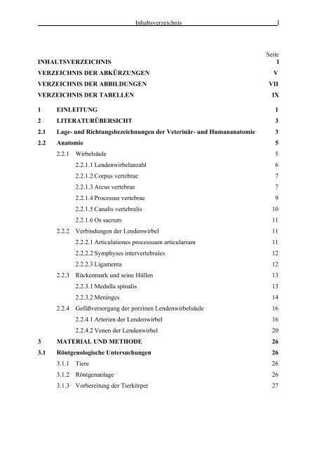 Morphometrie und Gefäßdarstellung der porcinen Lendenwirbelsäule