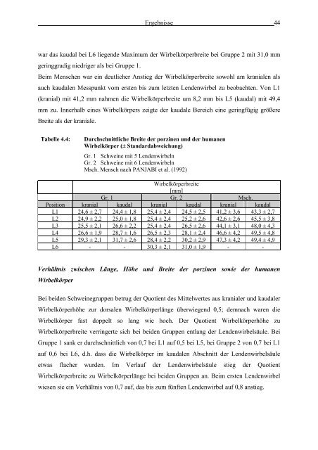 Morphometrie und Gefäßdarstellung der porcinen Lendenwirbelsäule