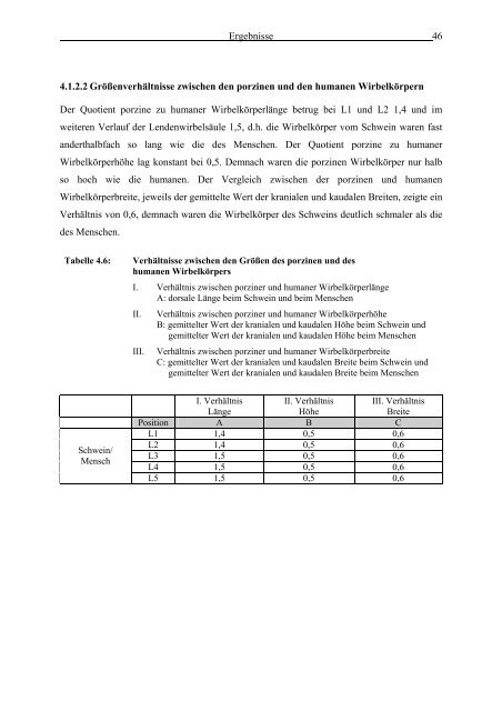 Morphometrie und Gefäßdarstellung der porcinen Lendenwirbelsäule