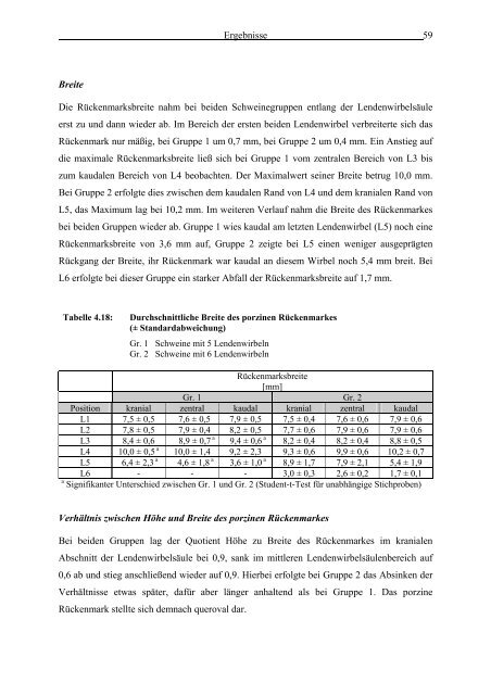 Morphometrie und Gefäßdarstellung der porcinen Lendenwirbelsäule