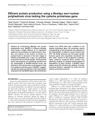 Efficient protein production using a Bombyx mori nuclear ...