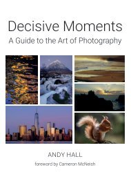 Decisive Moments by Andy Hall sampler