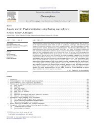 Aquatic arsenic: Phytoremediation using floating macrophytes