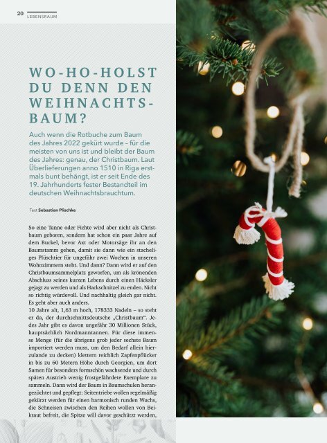 ELMA - Elternmagazin, Dezember 2021