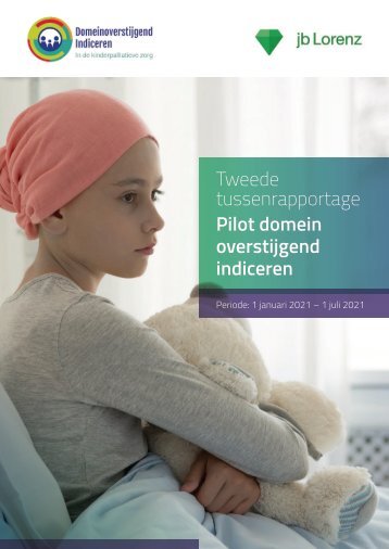 Tweede Tussenrapportage Pilot domein overstijgend indiceren