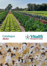 Vitalis Catalogus 2022