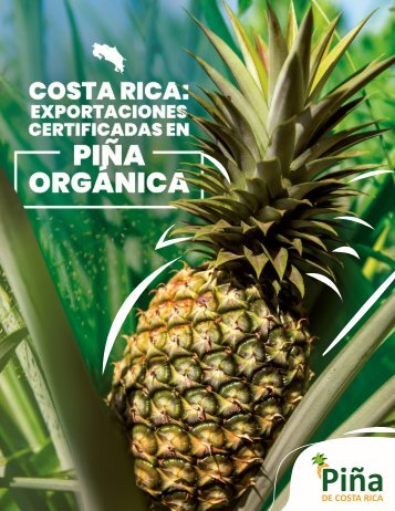 Revista Piña de Costa Rica Edición 41