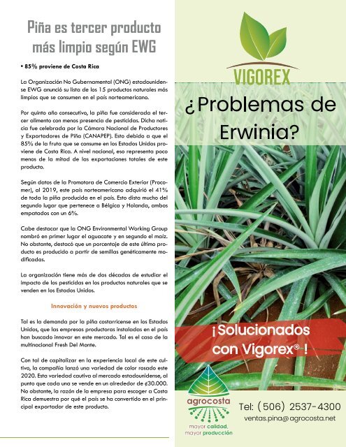 Revista Piña de Costa Rica Edición 41