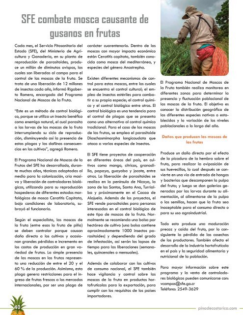 Revista Piña de Costa Rica Edición 41