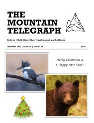 Mountain Telegraph December 2021