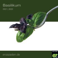 Leaflet Basilikum 2021