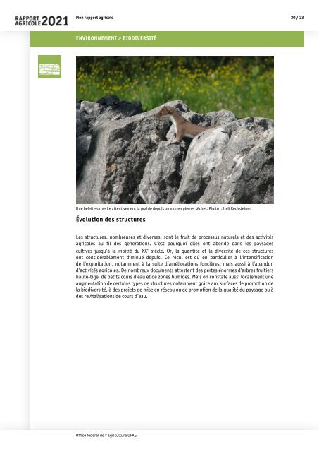 Rapport_agricole_2021